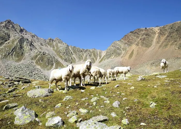 Melisande 2 By Interhome 公寓